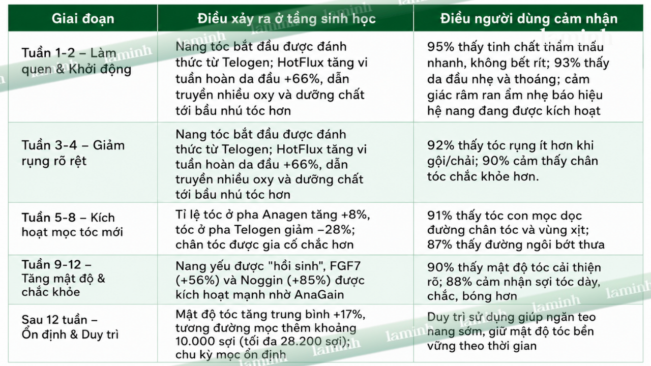 Laminh giúp tóc mọc lại sau 08 tuần sử dụng