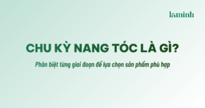 Laminh Haircare giúp bạn tìm hiểu về chu kỳ nang tóc